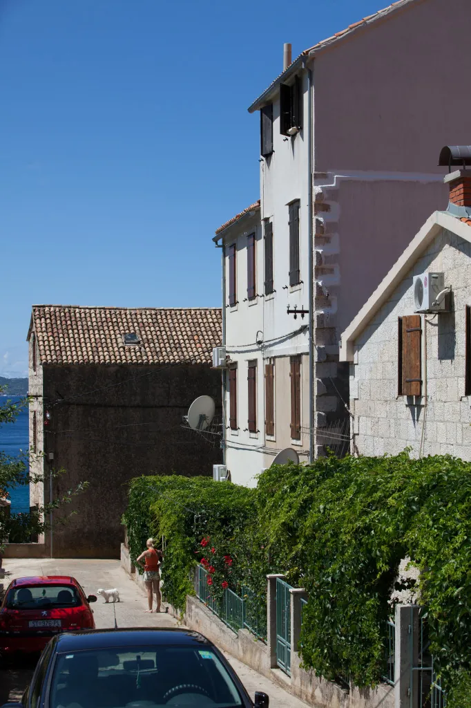 La facciata della casa dalla strada, con le piante rampicanti, appartamento Nono Andre, Comisa